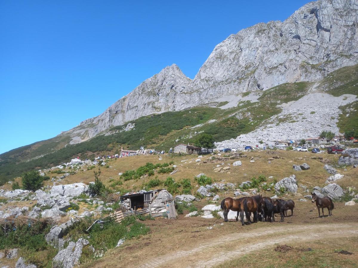 Casa Cuevas ξενώνας Cuevas  Εξωτερικό φωτογραφία